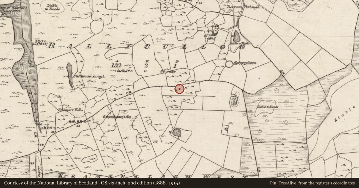 Ordnance Survey six-inch map, 2nd edition (1888–1915) covering the location of Settlement cluster, Keamsellagh West, County Galway, with a pin at the register's coordinates