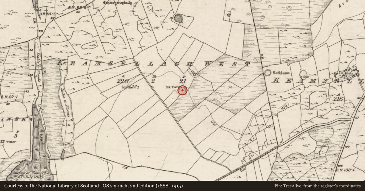 Ordnance Survey six-inch map, 2nd edition (1888–1915) covering the location of Ringfort - cashel, Keamsellagh West, County Galway, with a pin at the register's coordinates