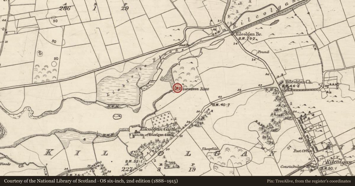 Ordnance Survey six-inch map, 2nd edition (1888–1915) covering the location of Altar, Kilcolgan, County Galway, with a pin at the register's coordinates