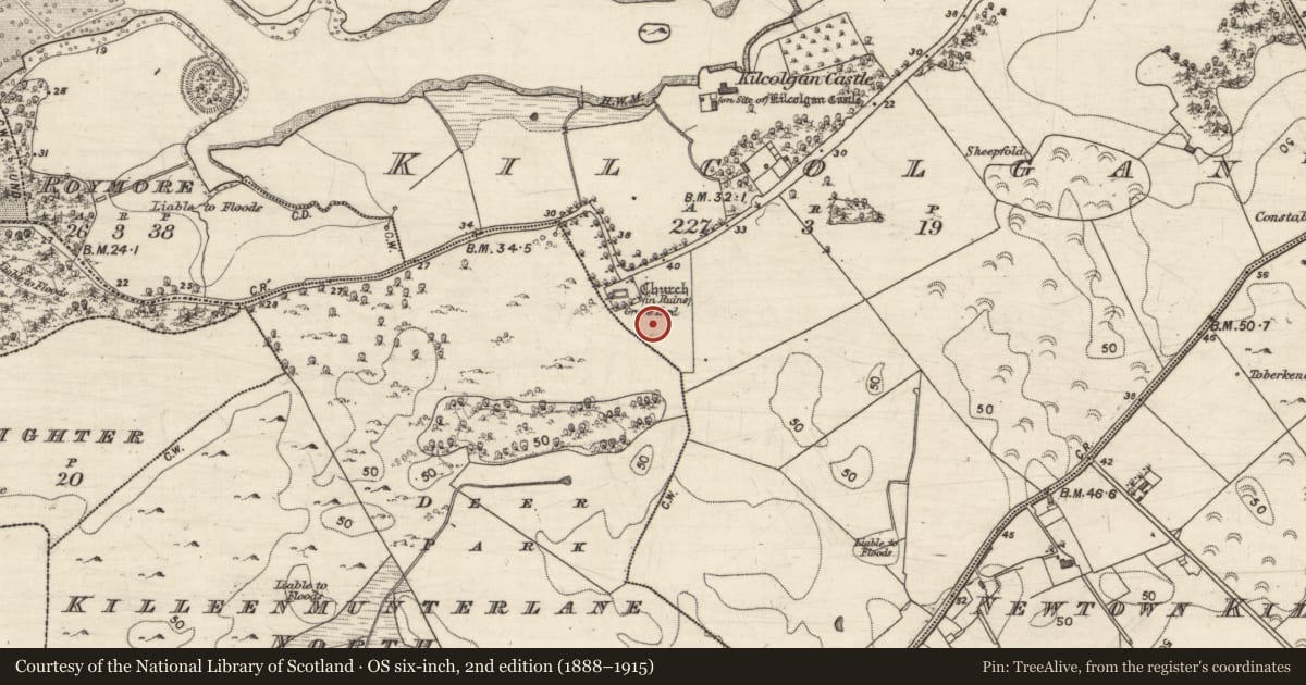 Ordnance Survey six-inch map, 2nd edition (1888–1915) covering the location of Settlement deserted - medieval, Kilcolgan, Killeenmunterlane North, County Galway, with a pin at the register's coordinates