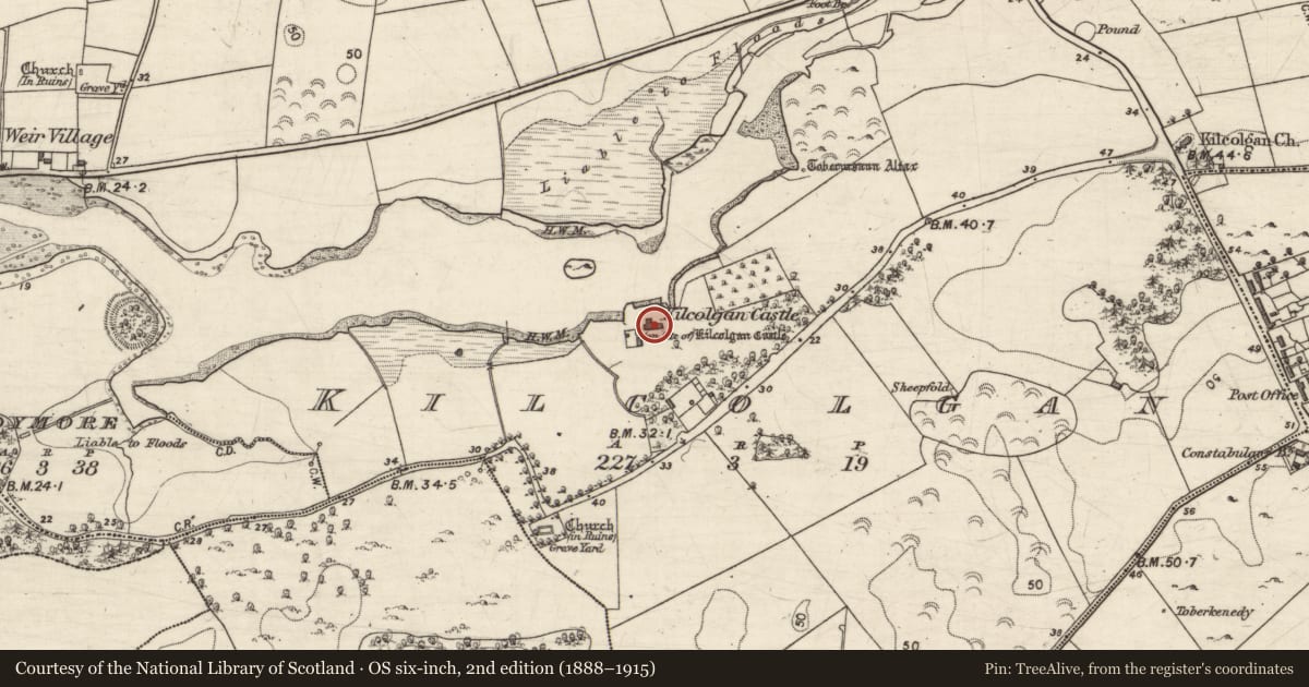 Ordnance Survey six-inch map, 2nd edition (1888–1915) covering the location of Castle - tower house, Kilcolgan, County Galway, with a pin at the register's coordinates