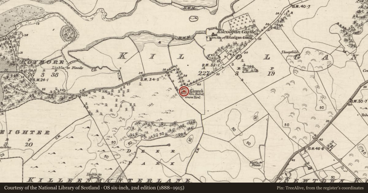 Ordnance Survey six-inch map, 2nd edition (1888–1915) covering the location of Bullaun stone, Kilcolgan, County Galway, with a pin at the register's coordinates