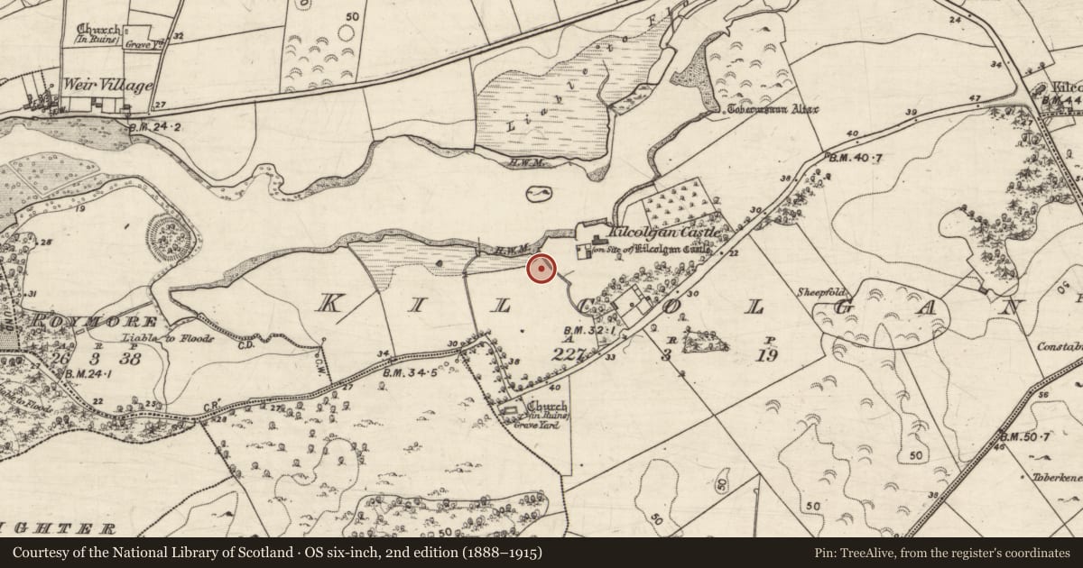 Ordnance Survey six-inch map, 2nd edition (1888–1915) covering the location of Earthwork, Kilcolgan, County Galway, with a pin at the register's coordinates