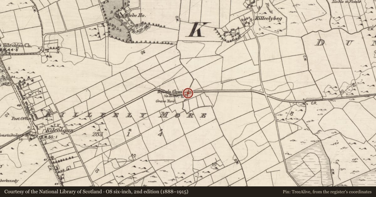 Ordnance Survey six-inch map, 2nd edition (1888–1915) covering the location of Settlement deserted - medieval, Killeely Beg, Killeely More, County Galway, with a pin at the register's coordinates