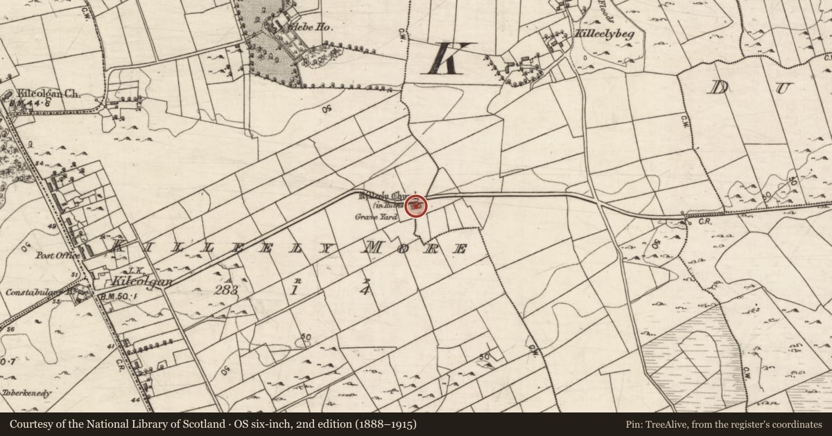Ordnance Survey six-inch map, 2nd edition (1888–1915) covering the location of Church, Killeely More, County Galway, with a pin at the register's coordinates