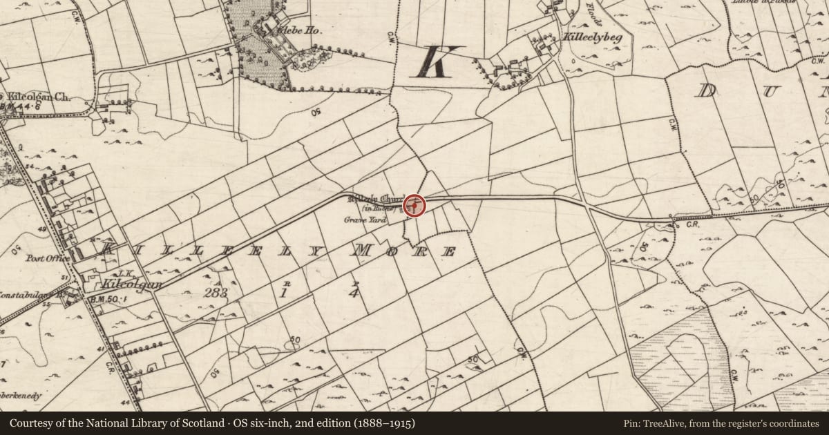 Ordnance Survey six-inch map, 2nd edition (1888–1915) covering the location of Ritual site - holy well, Killeely Beg, County Galway, with a pin at the register's coordinates