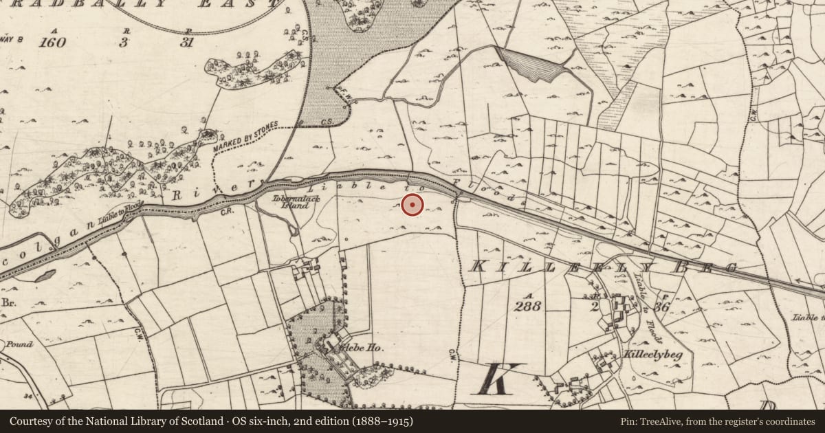 Ordnance Survey six-inch map, 2nd edition (1888–1915) covering the location of Fulacht fia, Killeely More, County Galway, with a pin at the register's coordinates