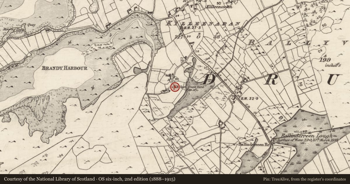 Ordnance Survey six-inch map, 2nd edition (1888–1915) covering the location of Children's burial ground, Killeenaran, County Galway, with a pin at the register's coordinates