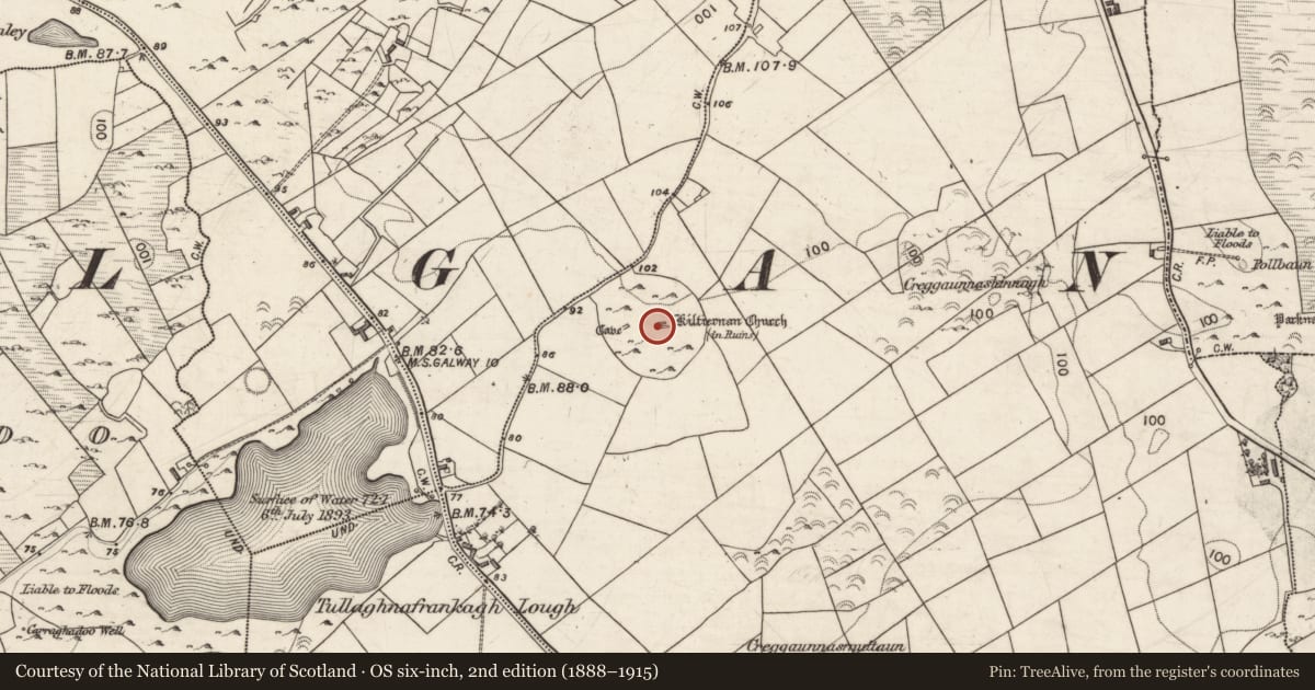 Ordnance Survey six-inch map, 2nd edition (1888–1915) covering the location of Ecclesiastical enclosure, Kiltiernan East, County Galway, with a pin at the register's coordinates