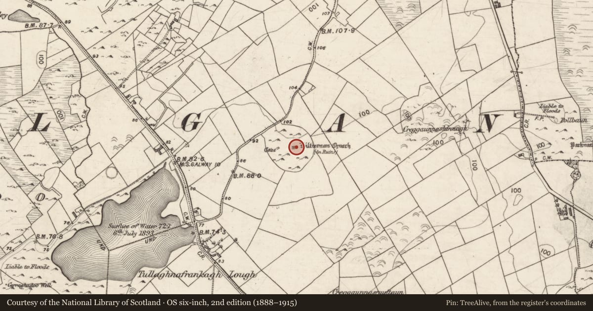 Ordnance Survey six-inch map, 2nd edition (1888–1915) covering the location of Graveyard, Kiltiernan East, County Galway, with a pin at the register's coordinates