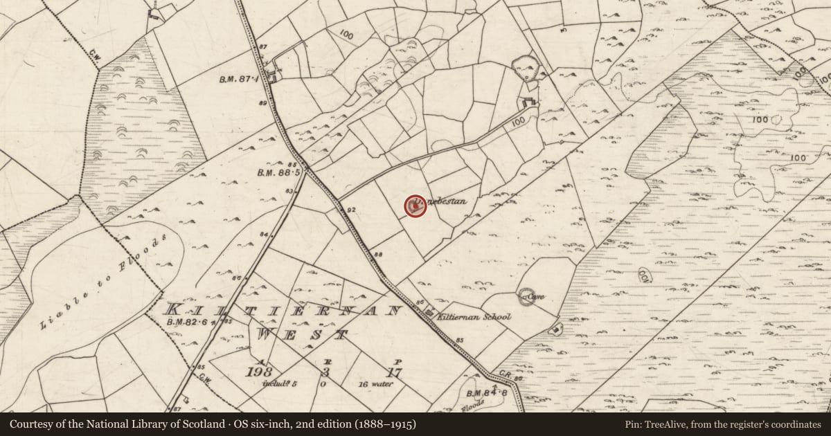 Ordnance Survey six-inch map, 2nd edition (1888–1915) covering the location of Enclosure, Kiltiernan East, County Galway, with a pin at the register's coordinates