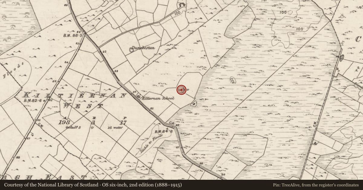 Ordnance Survey six-inch map, 2nd edition (1888–1915) covering the location of Ringfort - cashel, Kiltiernan East, County Galway, with a pin at the register's coordinates