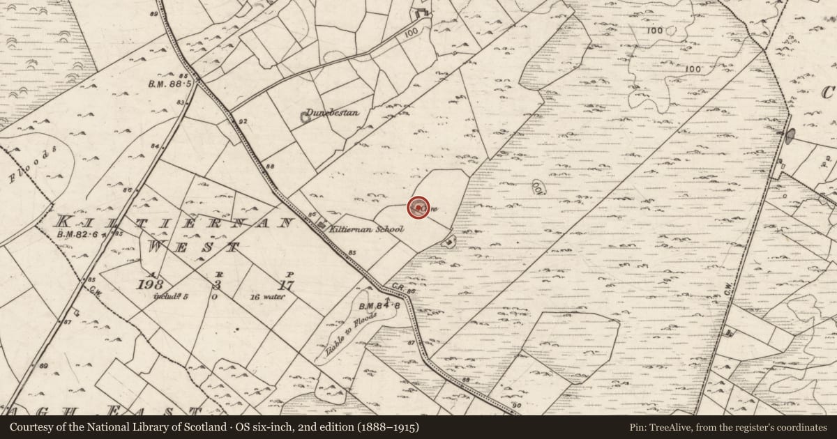 Ordnance Survey six-inch map, 2nd edition (1888–1915) covering the location of Souterrain, Kiltiernan East, County Galway, with a pin at the register's coordinates