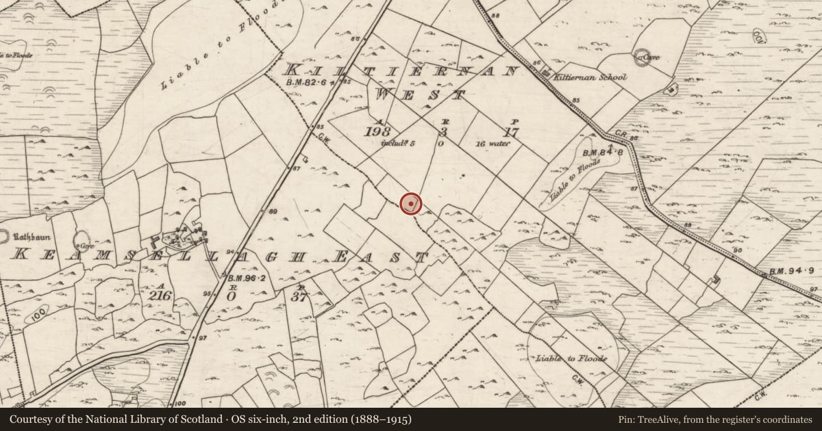 Ordnance Survey six-inch map, 2nd edition (1888–1915) covering the location of House - early medieval, Kiltiernan West, County Galway, with a pin at the register's coordinates