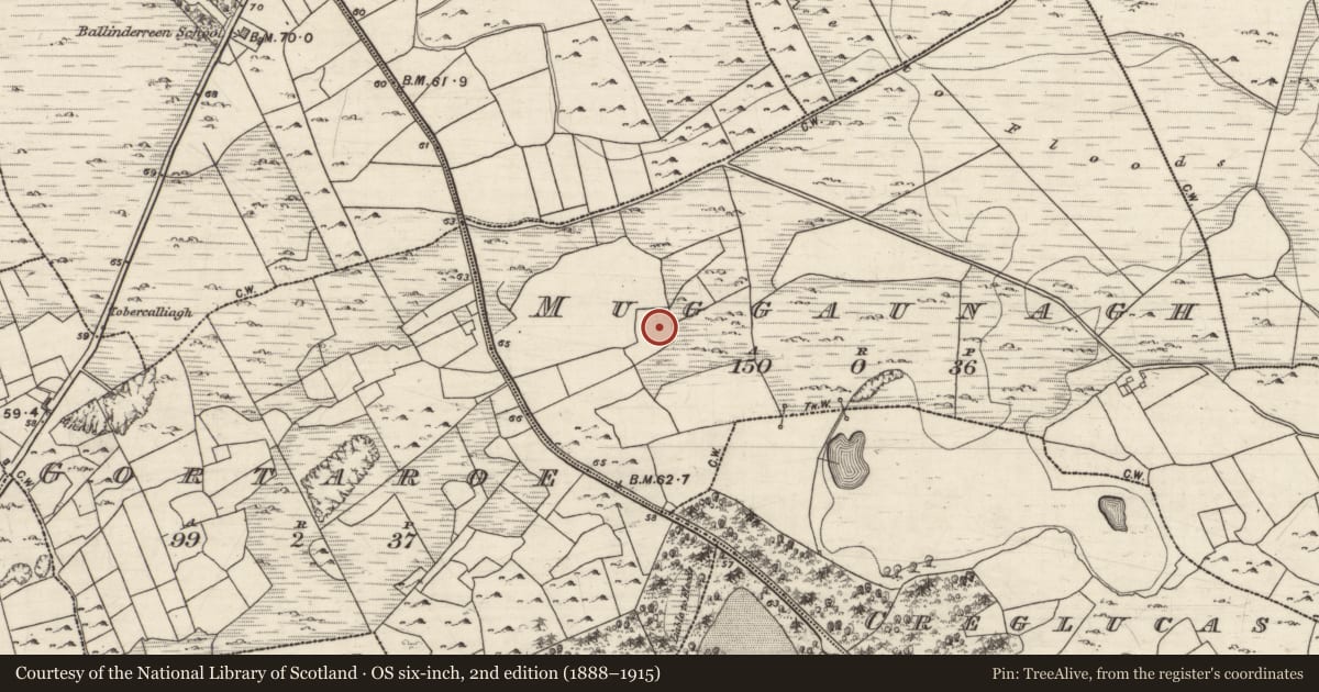 Ordnance Survey six-inch map, 2nd edition (1888–1915) covering the location of Flat cemetery, Muggaunagh, County Galway, with a pin at the register's coordinates