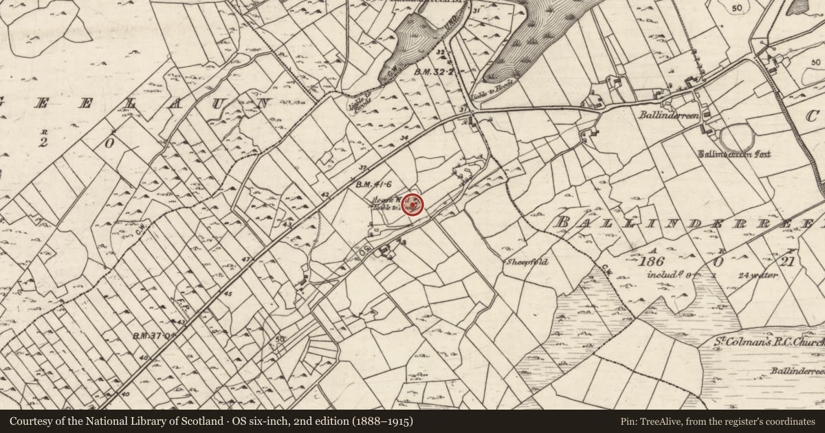 Ordnance Survey six-inch map, 2nd edition (1888–1915) covering the location of Well, Mulroog East, County Galway, with a pin at the register's coordinates