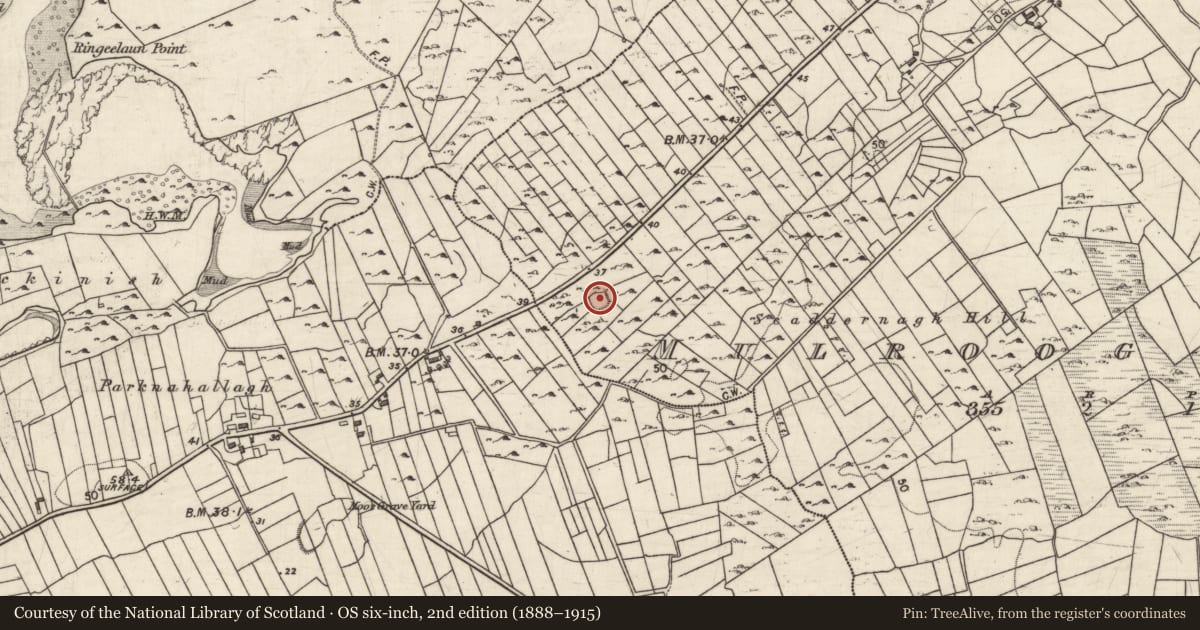 Ordnance Survey six-inch map, 2nd edition (1888–1915) covering the location of House - indeterminate date, Mulroog East, County Galway, with a pin at the register's coordinates