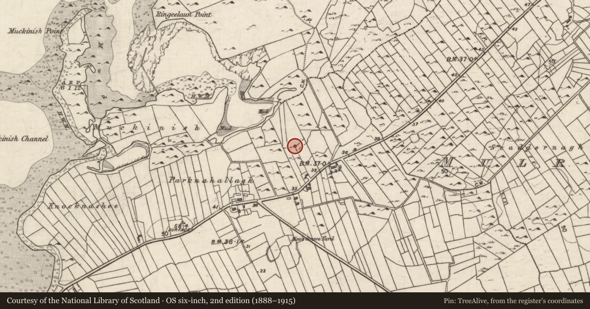 Ordnance Survey six-inch map, 2nd edition (1888–1915) covering the location of Well, Mulroog West, County Galway, with a pin at the register's coordinates