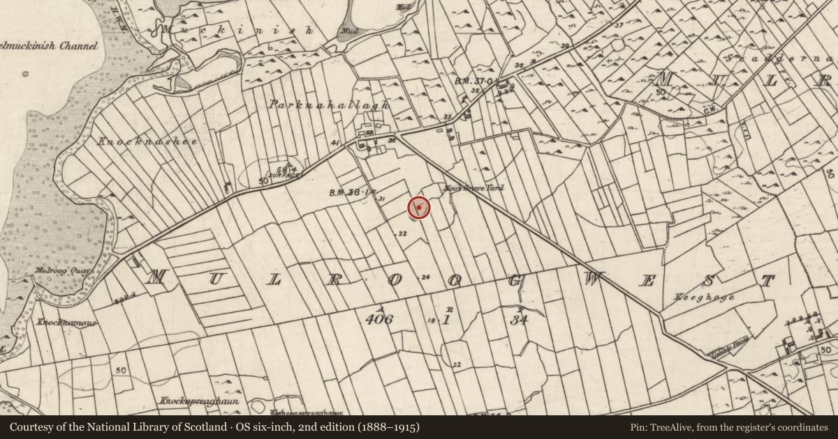 Ordnance Survey six-inch map, 2nd edition (1888–1915) covering the location of Ringfort - cashel, Mulroog West, County Galway, with a pin at the register's coordinates