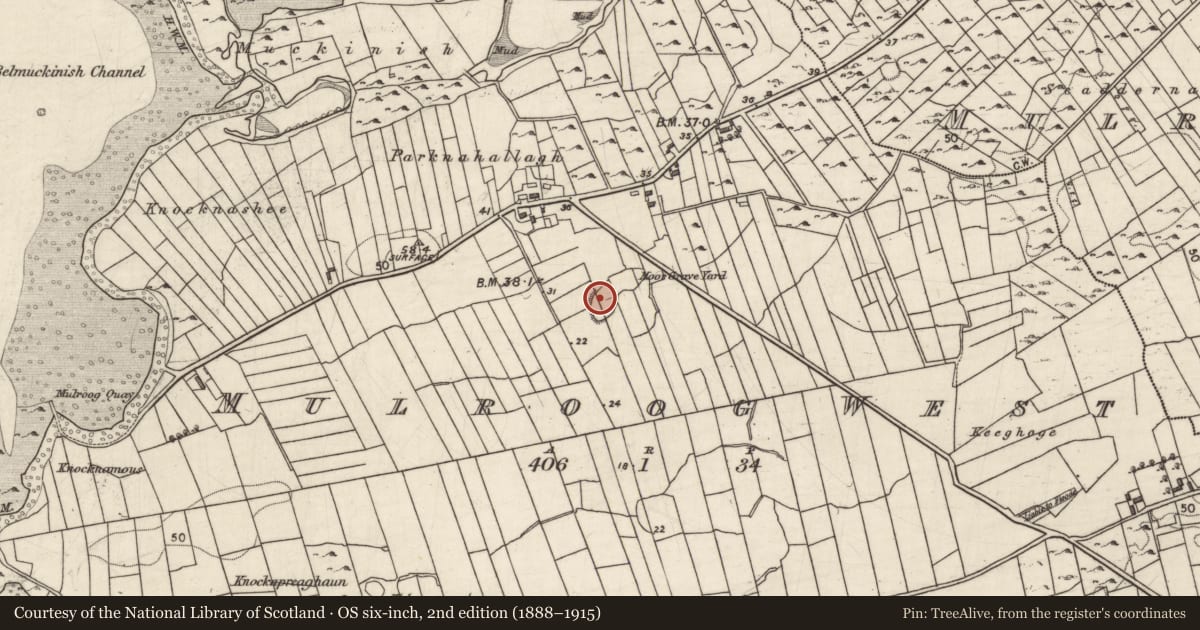 Ordnance Survey six-inch map, 2nd edition (1888–1915) covering the location of Children's burial ground, Mulroog West, County Galway, with a pin at the register's coordinates
