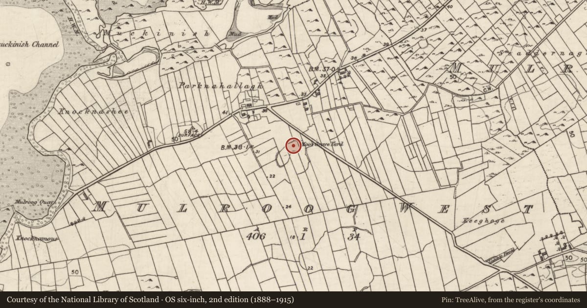 Ordnance Survey six-inch map, 2nd edition (1888–1915) covering the location of Graveyard, Mulroog West, County Galway, with a pin at the register's coordinates