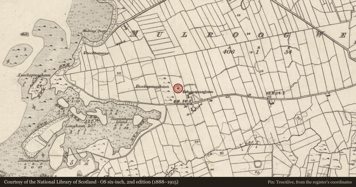 Ordnance Survey six-inch map, 2nd edition (1888–1915) covering the location of Ringfort - cashel, Mulroog West, County Galway, with a pin at the register's coordinates