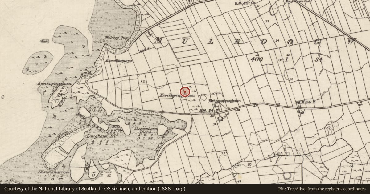 Ordnance Survey six-inch map, 2nd edition (1888–1915) covering the location of Ringfort - cashel, Mulroog West, County Galway, with a pin at the register's coordinates
