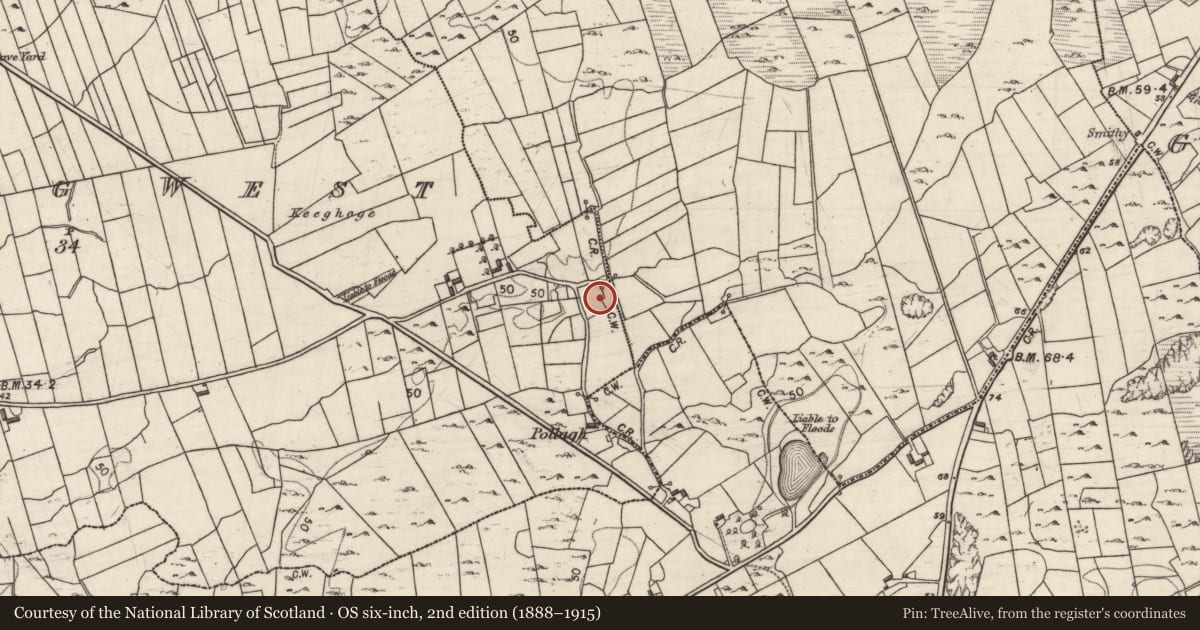 Ordnance Survey six-inch map, 2nd edition (1888–1915) covering the location of Enclosure, Mulroog West, County Galway, with a pin at the register's coordinates
