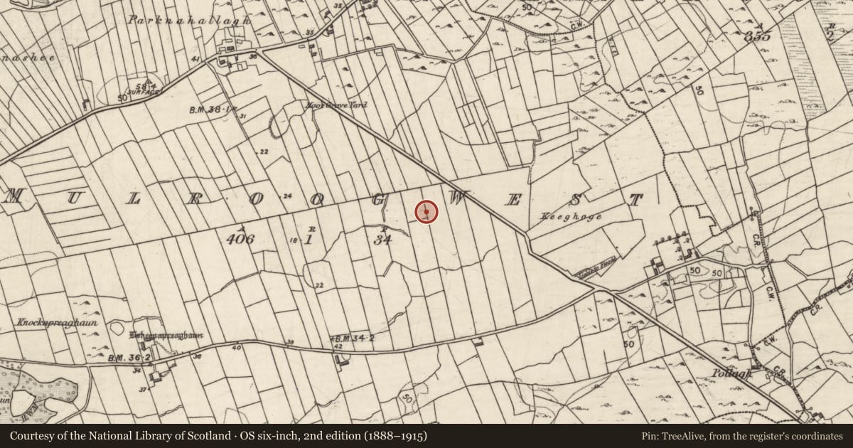 Ordnance Survey six-inch map, 2nd edition (1888–1915) covering the location of Ringfort - cashel, Mulroog West, County Galway, with a pin at the register's coordinates
