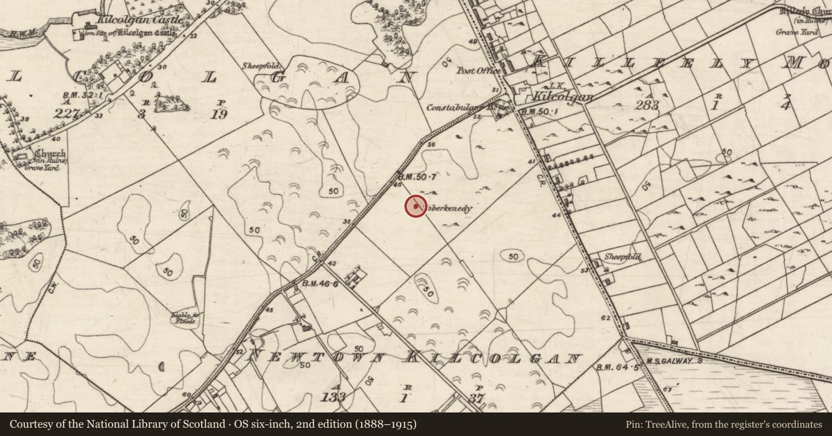 Ordnance Survey six-inch map, 2nd edition (1888–1915) covering the location of Well, Newtown Kilcolgan, County Galway, with a pin at the register's coordinates