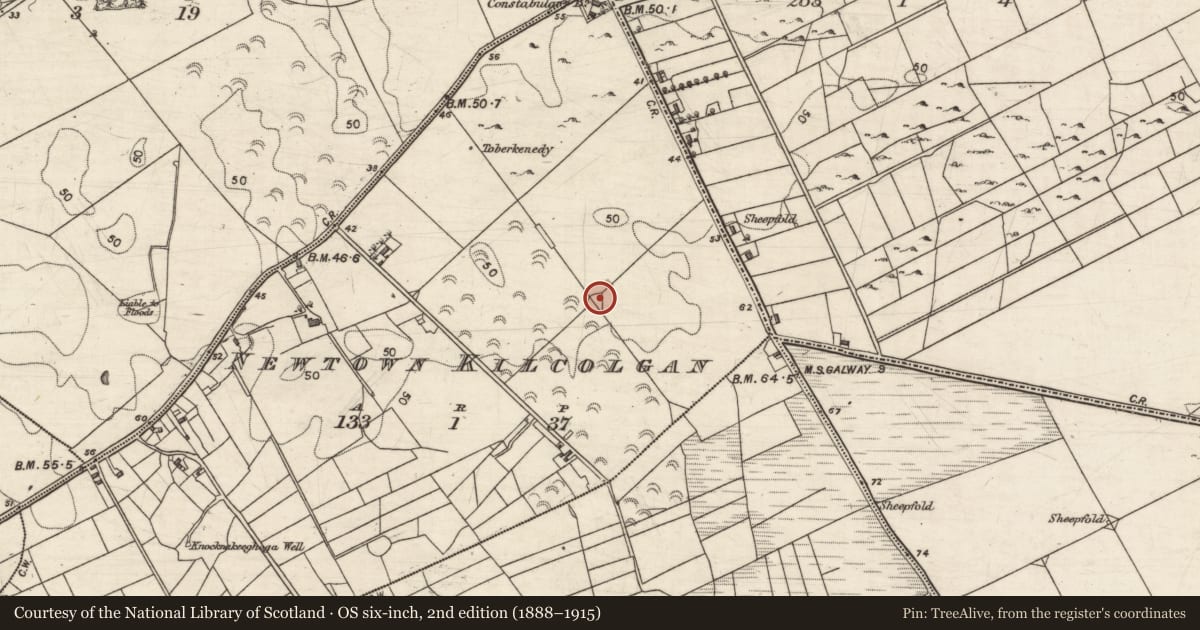 Ordnance Survey six-inch map, 2nd edition (1888–1915) covering the location of Cairn - clearance cairn, Newtown Kilcolgan, County Galway, with a pin at the register's coordinates
