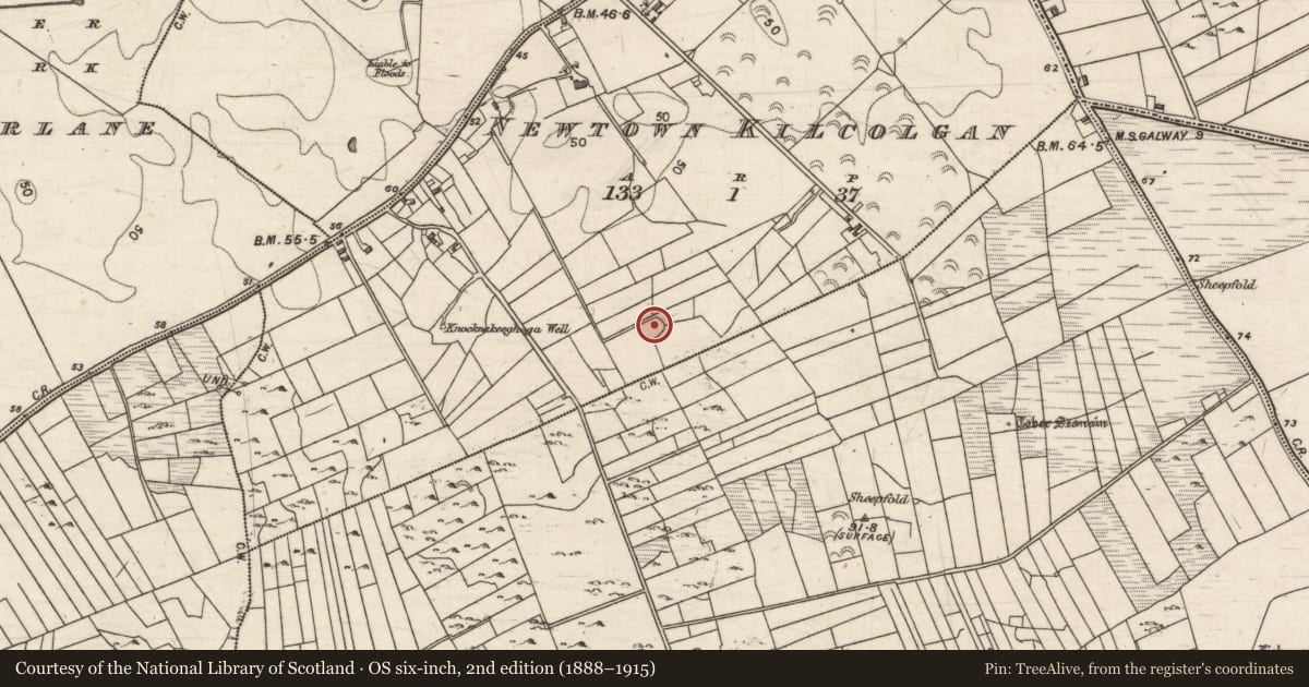 Ordnance Survey six-inch map, 2nd edition (1888–1915) covering the location of Enclosure, Newtown Kilcolgan, County Galway, with a pin at the register's coordinates
