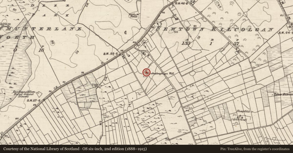 Ordnance Survey six-inch map, 2nd edition (1888–1915) covering the location of Well, Newtown Kilcolgan, County Galway, with a pin at the register's coordinates