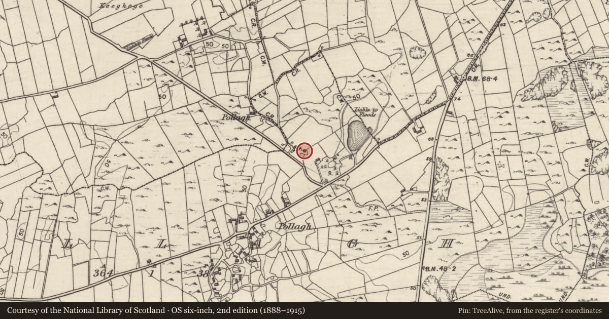 Ordnance Survey six-inch map, 2nd edition (1888–1915) covering the location of Children's burial ground, Pollagh, County Galway, with a pin at the register's coordinates