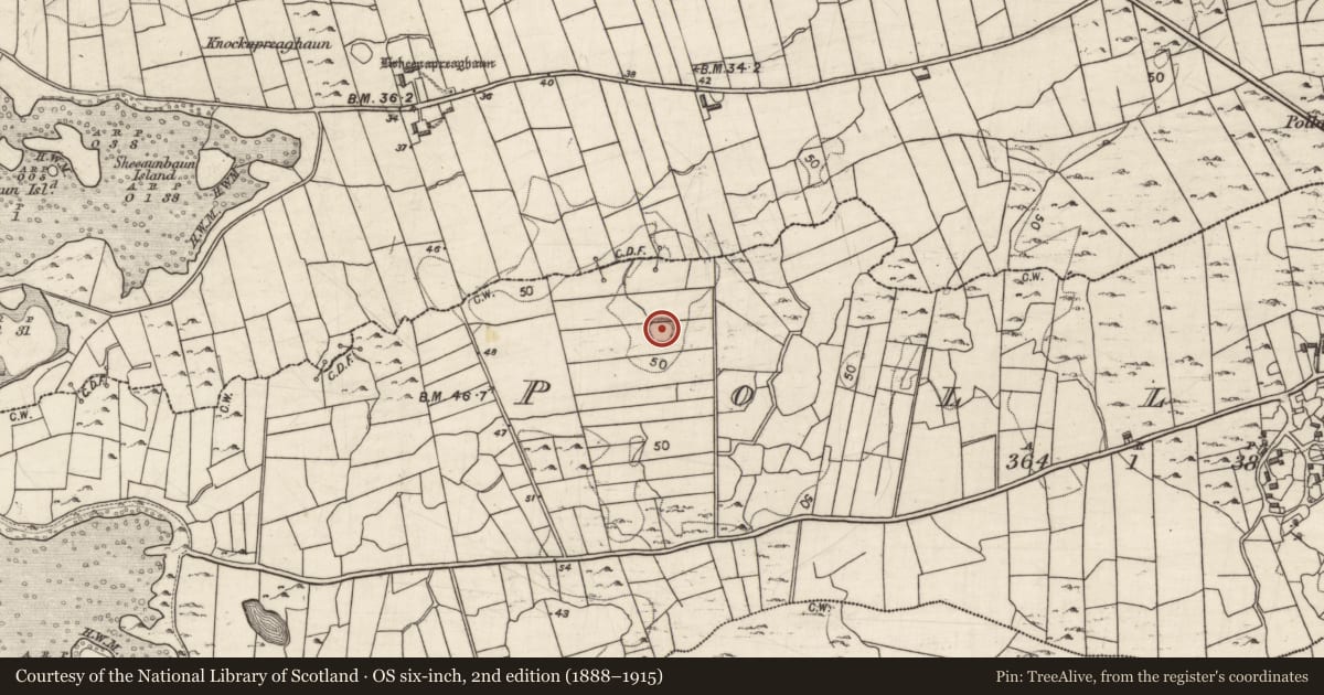 Ordnance Survey six-inch map, 2nd edition (1888–1915) covering the location of Souterrain, Pollagh, County Galway, with a pin at the register's coordinates