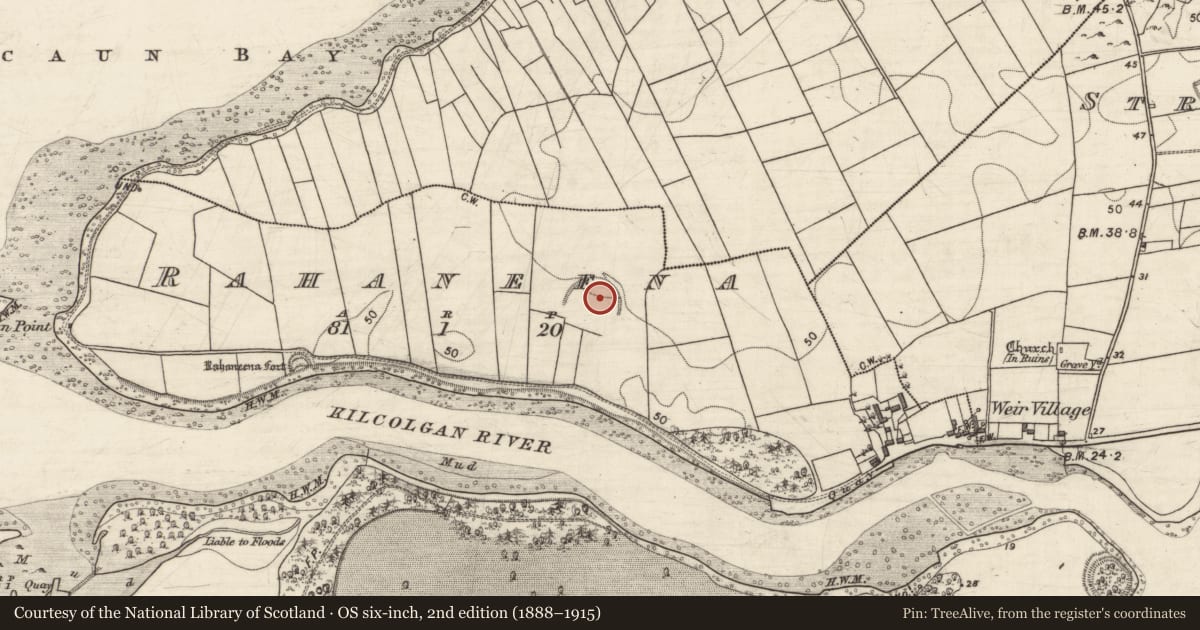 Ordnance Survey six-inch map, 2nd edition (1888–1915) covering the location of Enclosure - large enclosure, Rahaneena, County Galway, with a pin at the register's coordinates