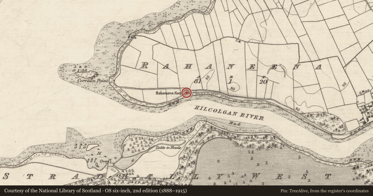 Ordnance Survey six-inch map, 2nd edition (1888–1915) covering the location of Ringfort - rath, Rahaneena, County Galway, with a pin at the register's coordinates