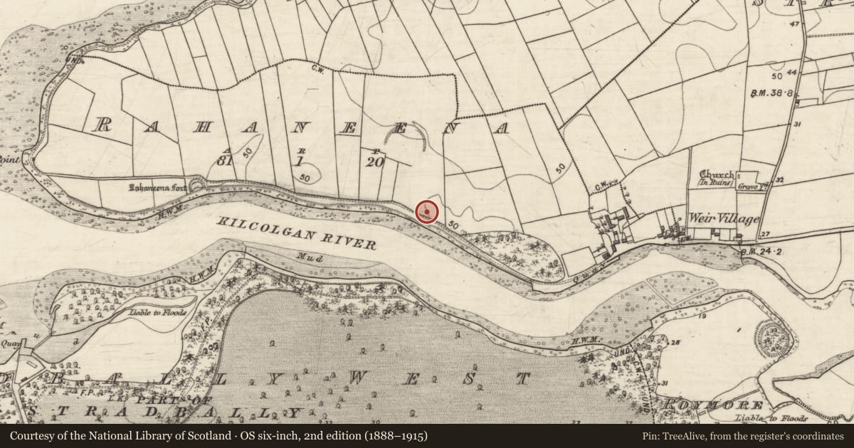 Ordnance Survey six-inch map, 2nd edition (1888–1915) covering the location of Barrow - ring-barrow, Rahaneena, County Galway, with a pin at the register's coordinates