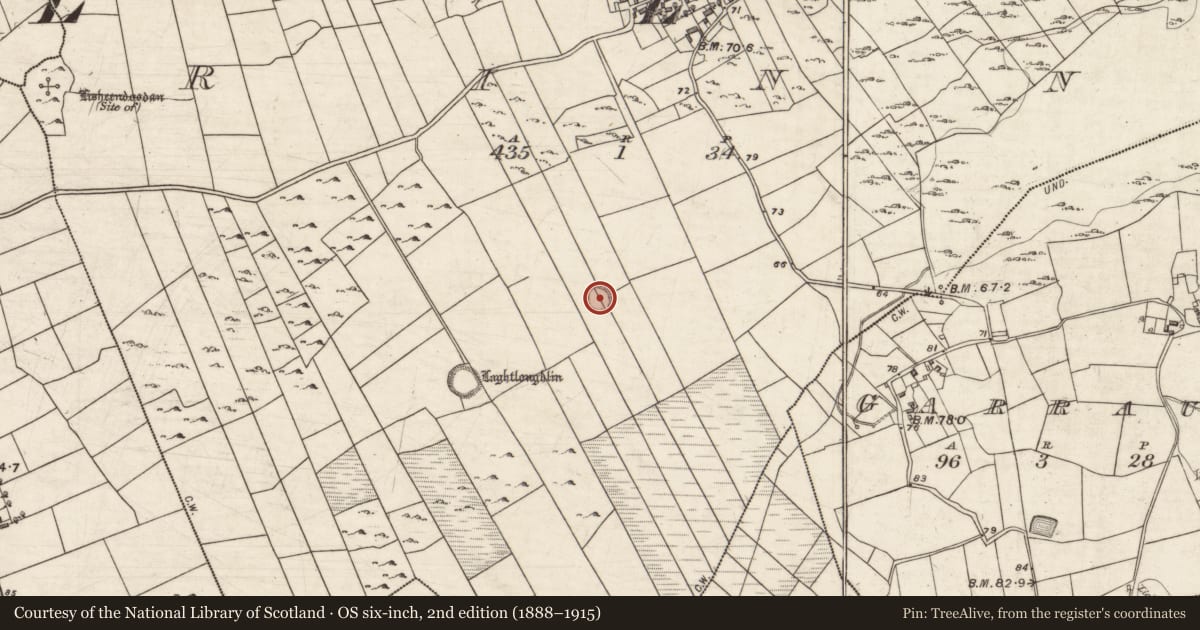 Ordnance Survey six-inch map, 2nd edition (1888–1915) covering the location of Ringfort - cashel, Rinn, County Galway, with a pin at the register's coordinates