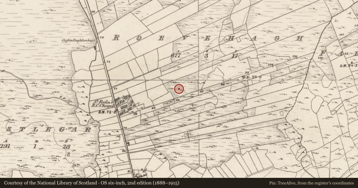 Ordnance Survey six-inch map, 2nd edition (1888–1915) covering the location of Ritual site - holy tree/bush, Roevehagh, County Galway, with a pin at the register's coordinates