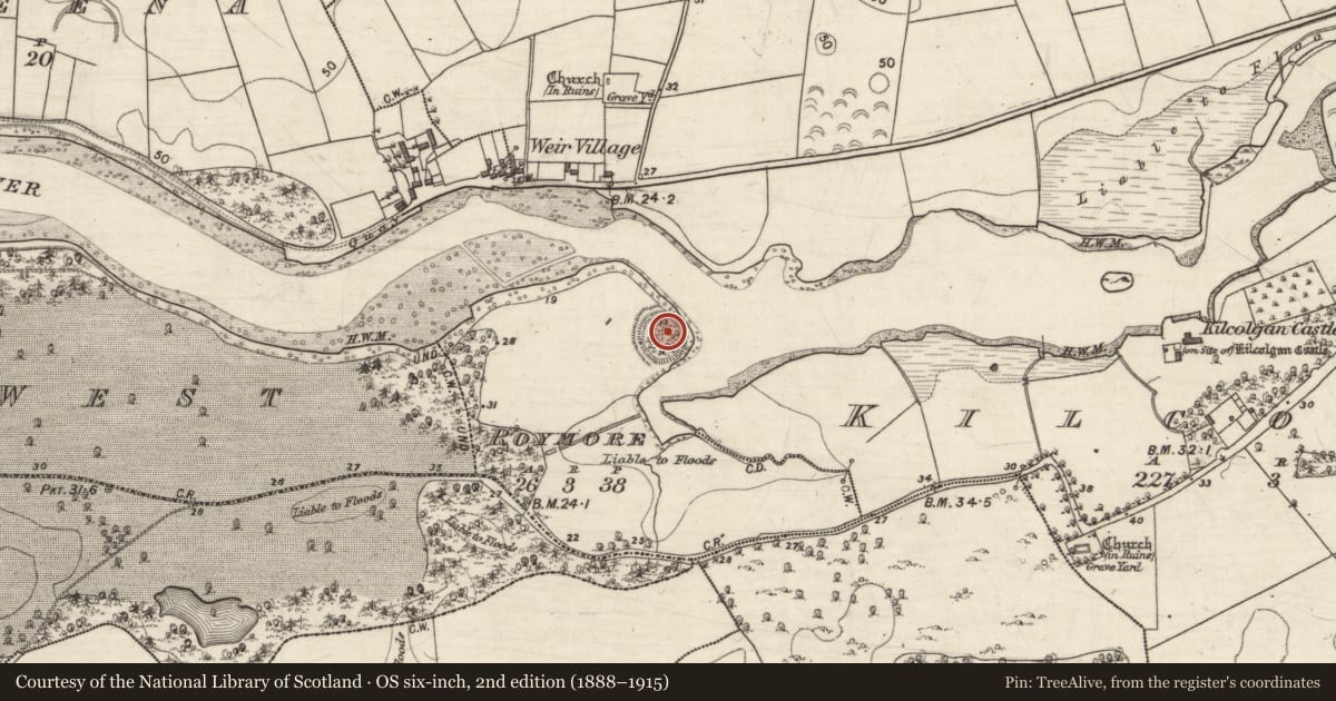 Ordnance Survey six-inch map, 2nd edition (1888–1915) covering the location of Ringfort - rath, Roymore, County Galway, with a pin at the register's coordinates