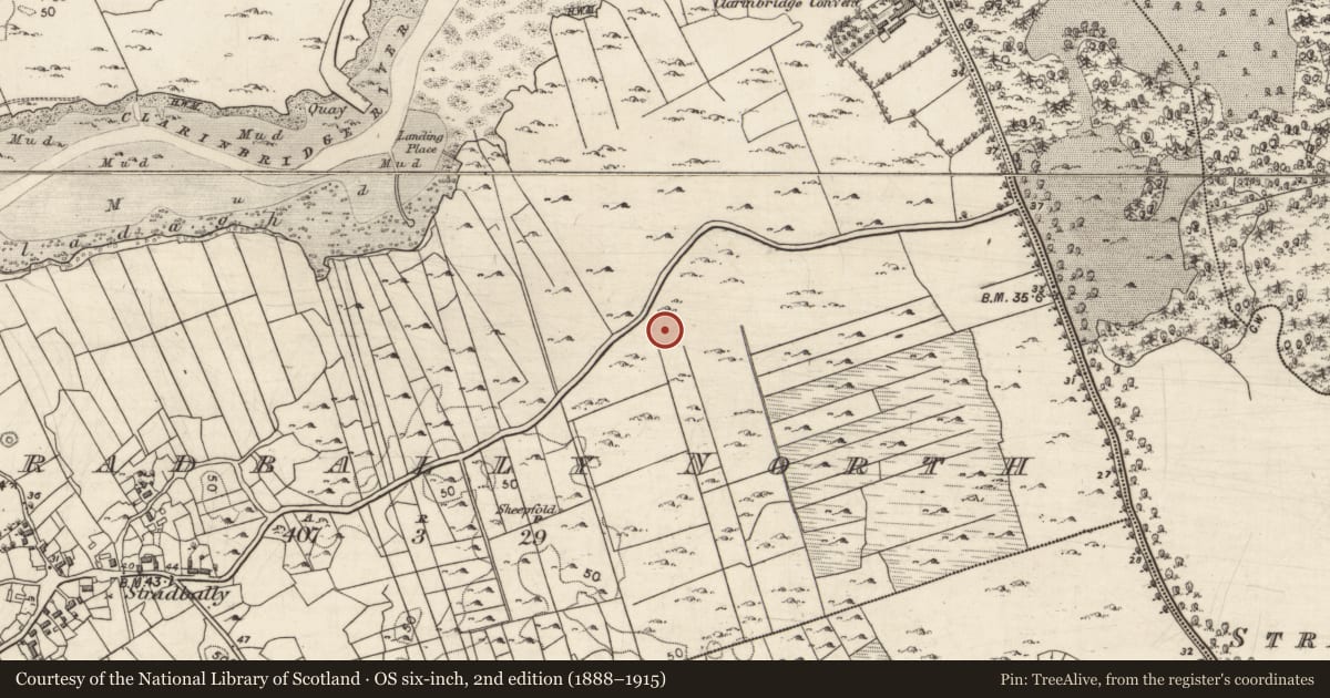 Ordnance Survey six-inch map, 2nd edition (1888–1915) covering the location of Quarry, Stradbally North, County Galway, with a pin at the register's coordinates