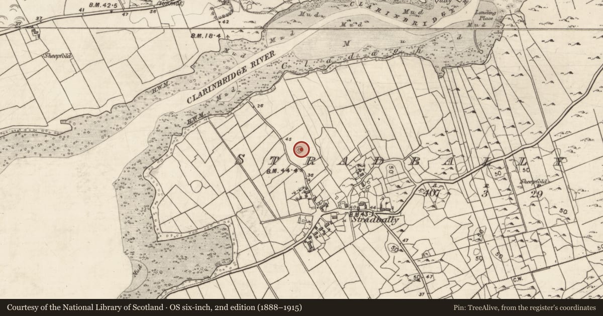 Ordnance Survey six-inch map, 2nd edition (1888–1915) covering the location of Barrow - ring-barrow, Stradbally North, County Galway, with a pin at the register's coordinates