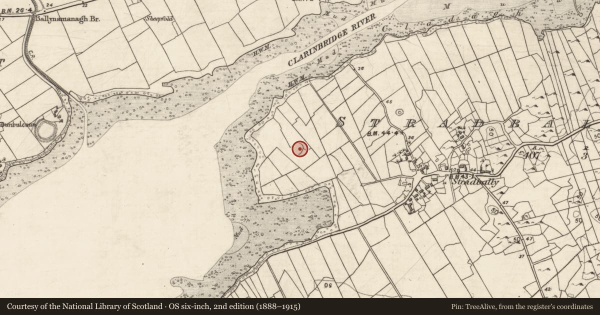 Ordnance Survey six-inch map, 2nd edition (1888–1915) covering the location of Ringfort - cashel, Stradbally North, County Galway, with a pin at the register's coordinates