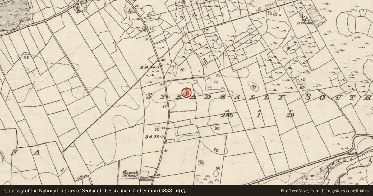 Ordnance Survey six-inch map, 2nd edition (1888–1915) covering the location of Ringfort - cashel, Stradbally South, County Galway, with a pin at the register's coordinates