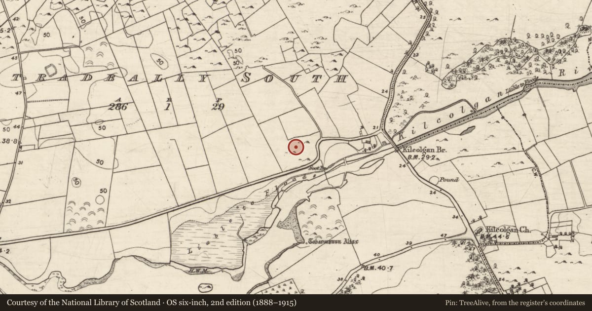 Ordnance Survey six-inch map, 2nd edition (1888–1915) covering the location of Souterrain, Stradbally South, County Galway, with a pin at the register's coordinates