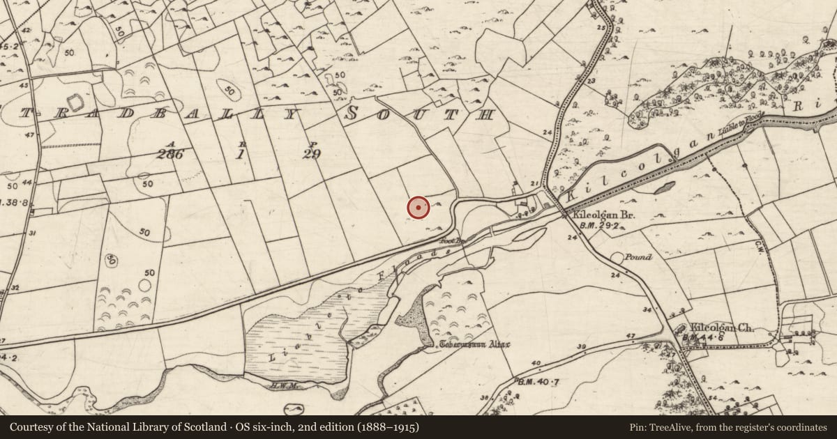 Ordnance Survey six-inch map, 2nd edition (1888–1915) covering the location of Ringfort - rath, Stradbally South, County Galway, with a pin at the register's coordinates