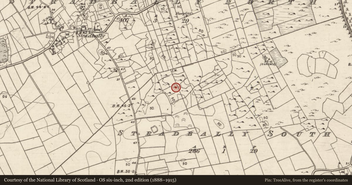 Ordnance Survey six-inch map, 2nd edition (1888–1915) covering the location of Souterrain, Stradbally South, County Galway, with a pin at the register's coordinates