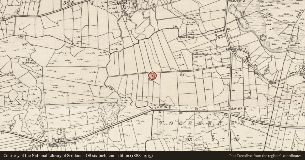 Ordnance Survey six-inch map, 2nd edition (1888–1915) covering the location of Ringfort - cashel, Tooreen West, County Galway, with a pin at the register's coordinates