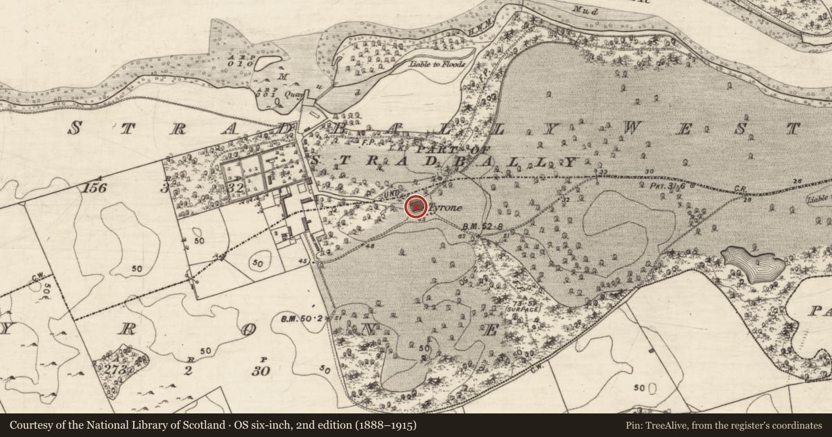 Ordnance Survey six-inch map, 2nd edition (1888–1915) covering the location of Country house, Tyrone, County Galway, with a pin at the register's coordinates